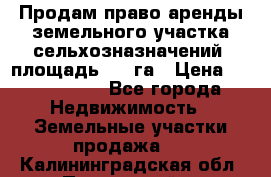 Продам право аренды земельного участка сельхозназначений  площадь 14.3га › Цена ­ 1 500 000 - Все города Недвижимость » Земельные участки продажа   . Калининградская обл.,Пионерский г.